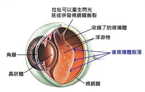 四、医院口碑评价