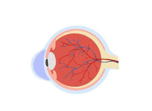 二、合肥名人眼科医院收费价格表怎么样？