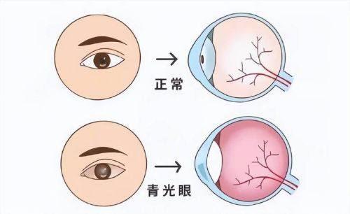 七、医院地址电话是多少？