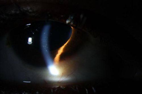 四、医院的地址和电话是多少？