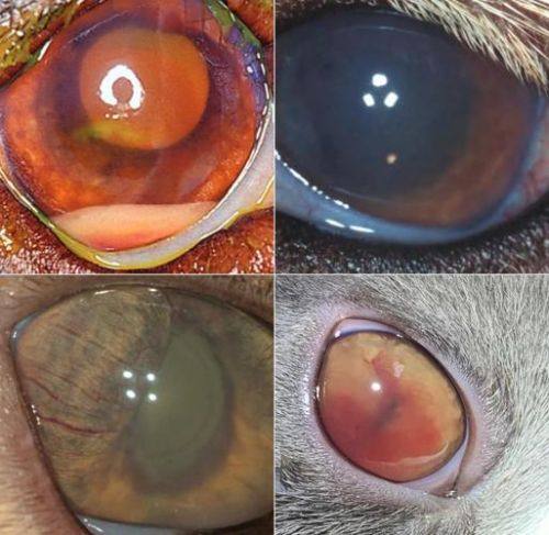 三、医院还有哪些特色项目？