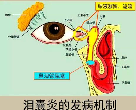 三、医院的特色服务怎么样?