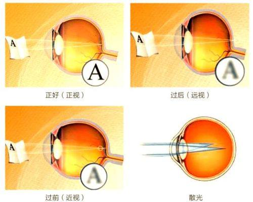 二、医院价格贵不贵？
