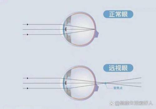 四、医院的地址和交通方便吗？