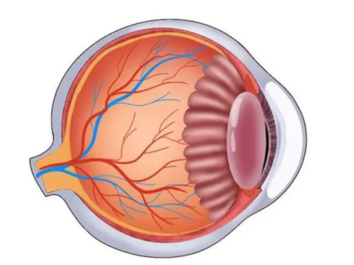 常州泽明眼科医院收费性价比高，患者术后体验良好