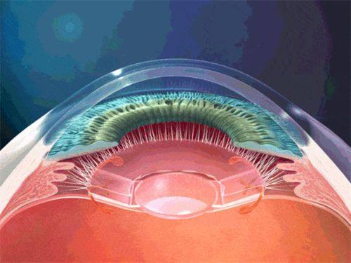 三、医院地址和电话