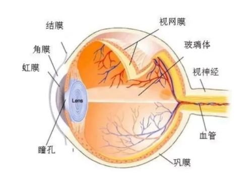 二、周口沈丘眼科医院收费标准怎么样？