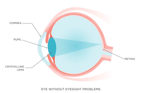 郑州视光眼科华厦可靠吗？当然可靠！专业团队技术优，助你畅享清晰视界，真的绝了！ 