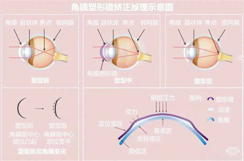 五、医院的价格贵不贵？