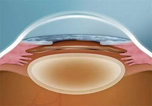 六、医院的地址和联系方式