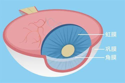 三、北京爱尔新力眼科诊所术后服务贴心靠谱吗