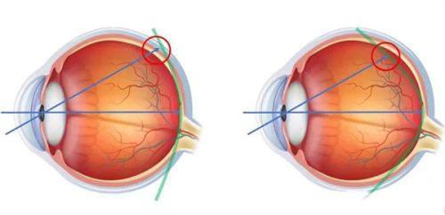 三、医院价格贵不贵？