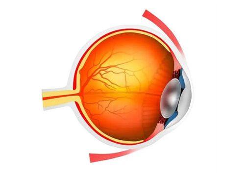 六、医院口碑评价如何？