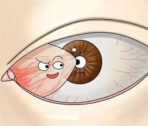 关键词正规吗？