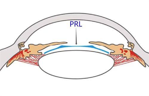 二、东莞准分子激光哪家强？各院特色详解www.web508.com