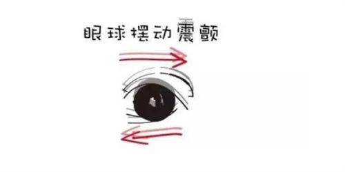 二、东莞虎门爱尔眼科手术价格表www.web508.com