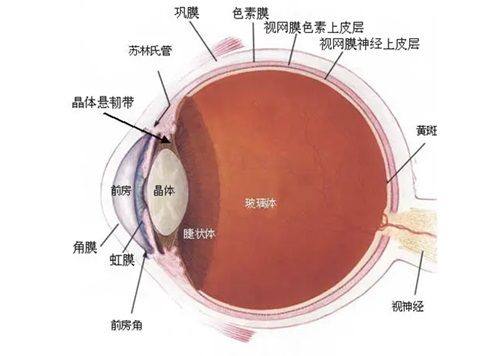三、辽宁沈阳零度眼科怎么预约及费用多少？www.web508.com