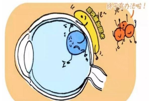 后巩膜加固术用什么材料比较好web508.com