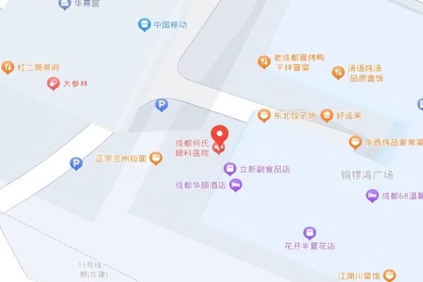 成都何氏视佳眼科医院地址在哪里web508.com