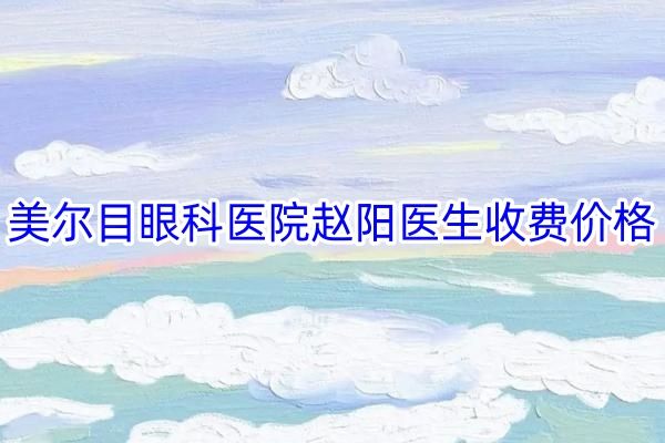 美尔目眼科医院赵阳医生收费价格web508.com