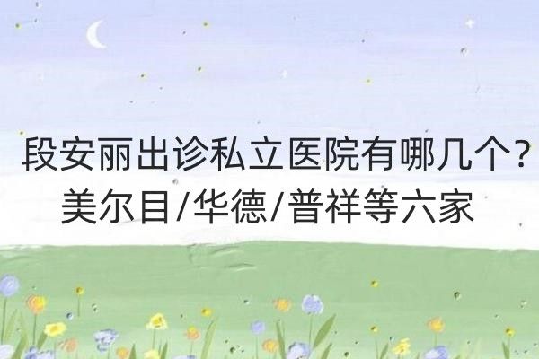 段安丽出诊私立医院有哪几个web508.com