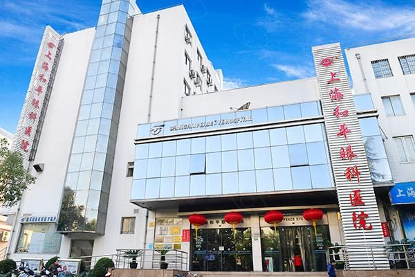 上海和平眼科医院院长是谁?郭海科/翟爱琴/吴仁毅等明星院长,还可网上预约!web508.com