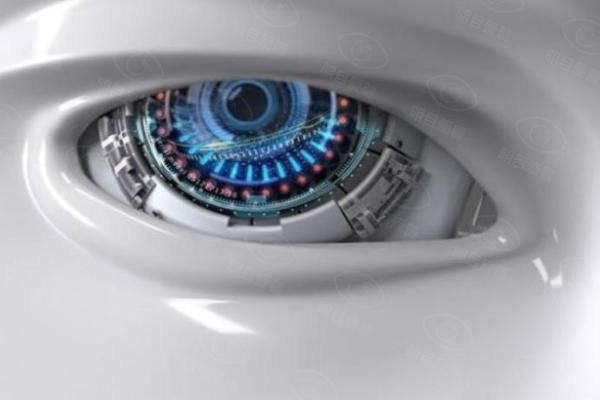 3D仿生眼球2025年能上市吗web508.com