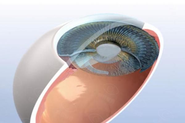 德国人类光学晶体好吗web508.com